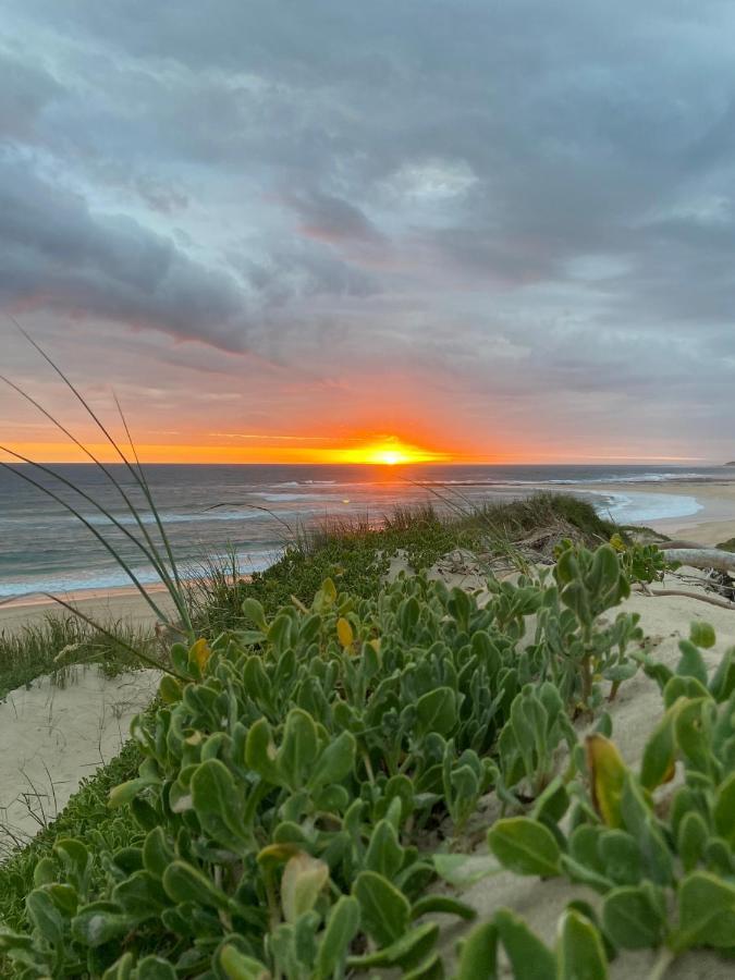 Soutelande Country Stay - Close To 1#Beach In Pe Порт-Елізабет Екстер'єр фото