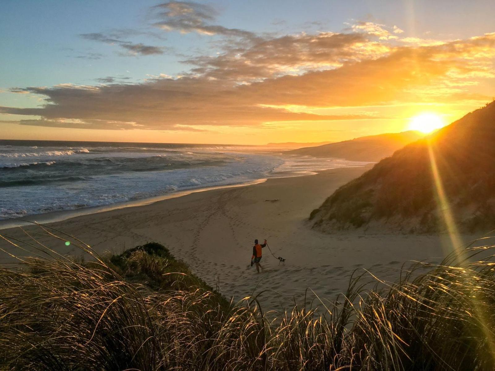 Soutelande Country Stay - Close To 1#Beach In Pe Порт-Елізабет Екстер'єр фото